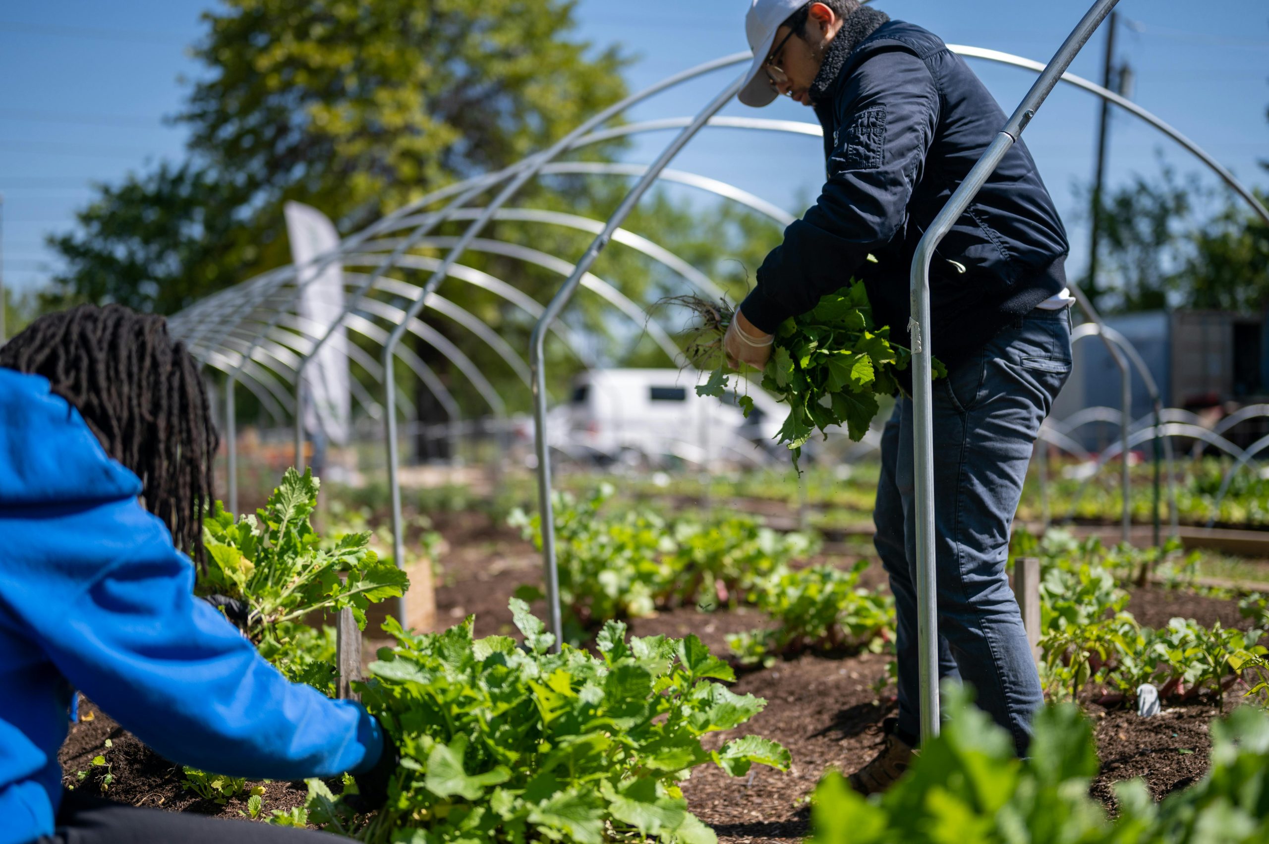 Seguro Agrícola